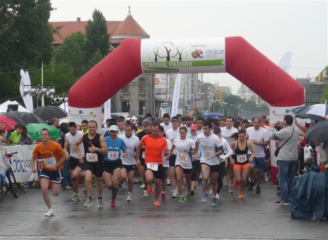 Start (2) (Large) (Medium)