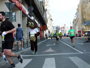 Veverix la Semimaratonul Bucurestiului